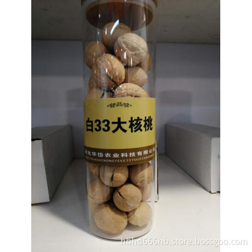 33 BIG SIZE